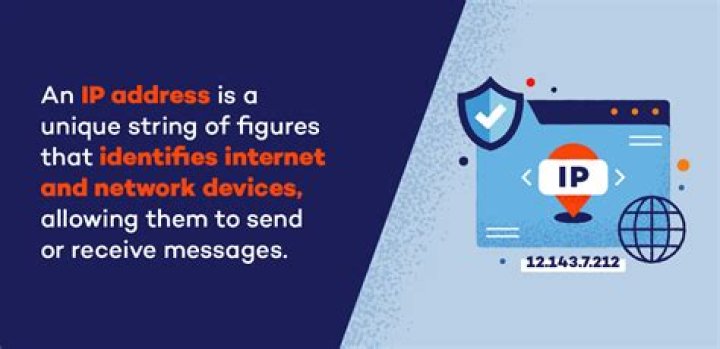 What is an IP company?