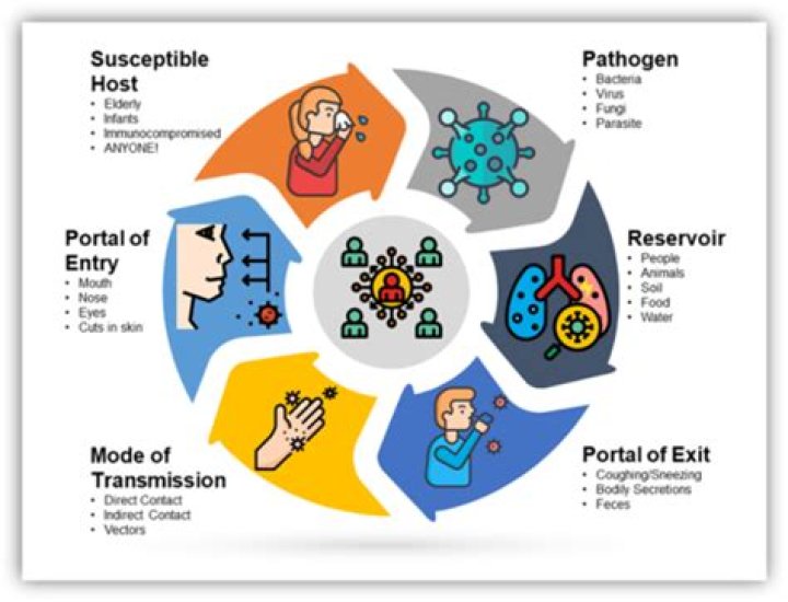 What is asepsis quizlet?