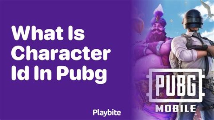 What is Character ID in PUBG mobile?