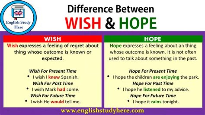 What is difference between the expression of hope and wish make examples both of them?