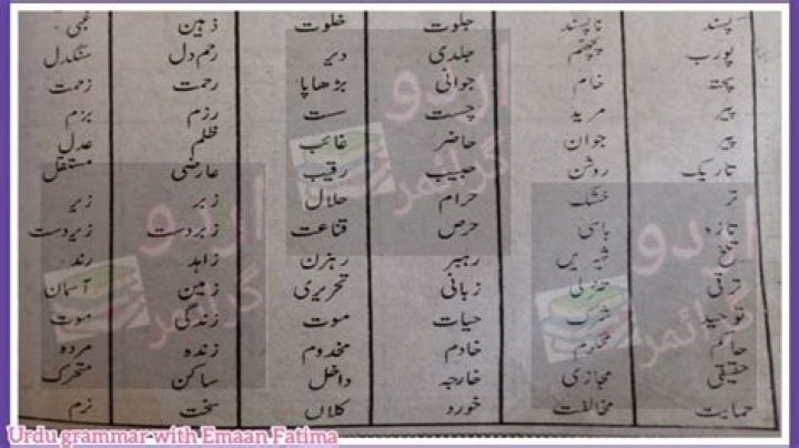 What is Mutazad Alfaz in Urdu?