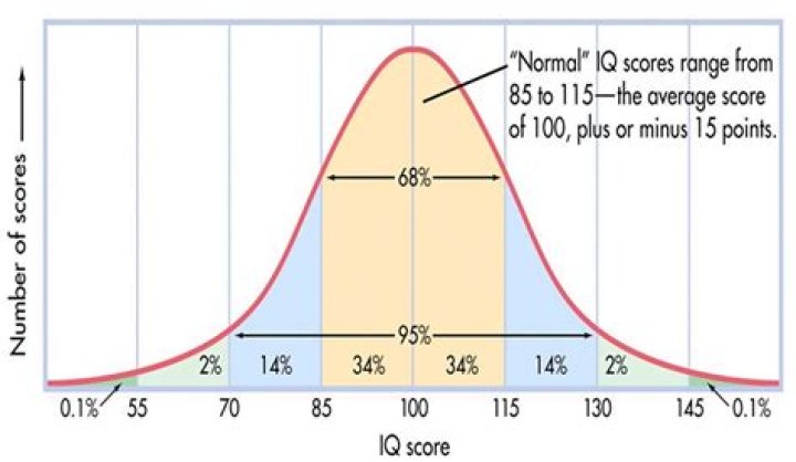 What is my IQ free 14 year old?