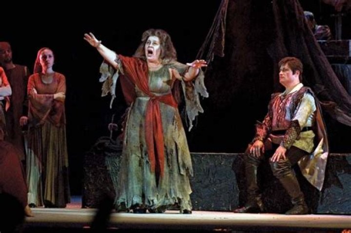 What is opera experience?