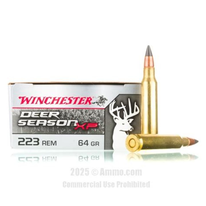 What is the best 223 ammo for target shooting?