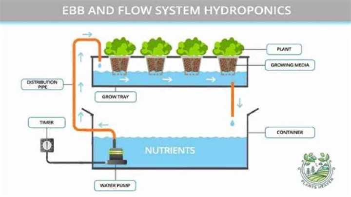 What is the best ebb and flow system?