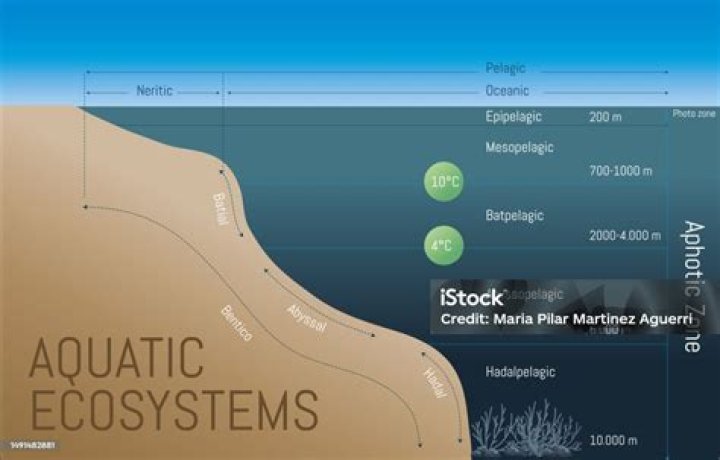 What is the bottom of a body of water called?