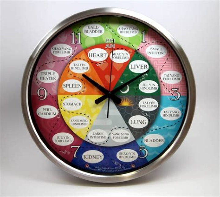 What is the Chinese meridian clock?