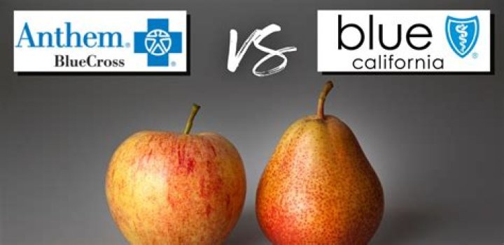 What is the difference between Anthem and Blue Cross Blue Shield?