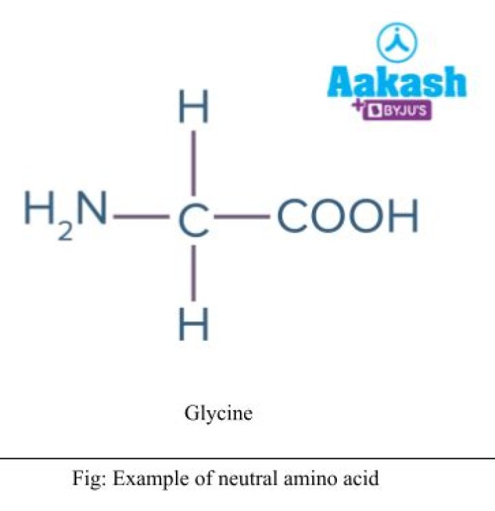 What is the example of neutral amino acid?