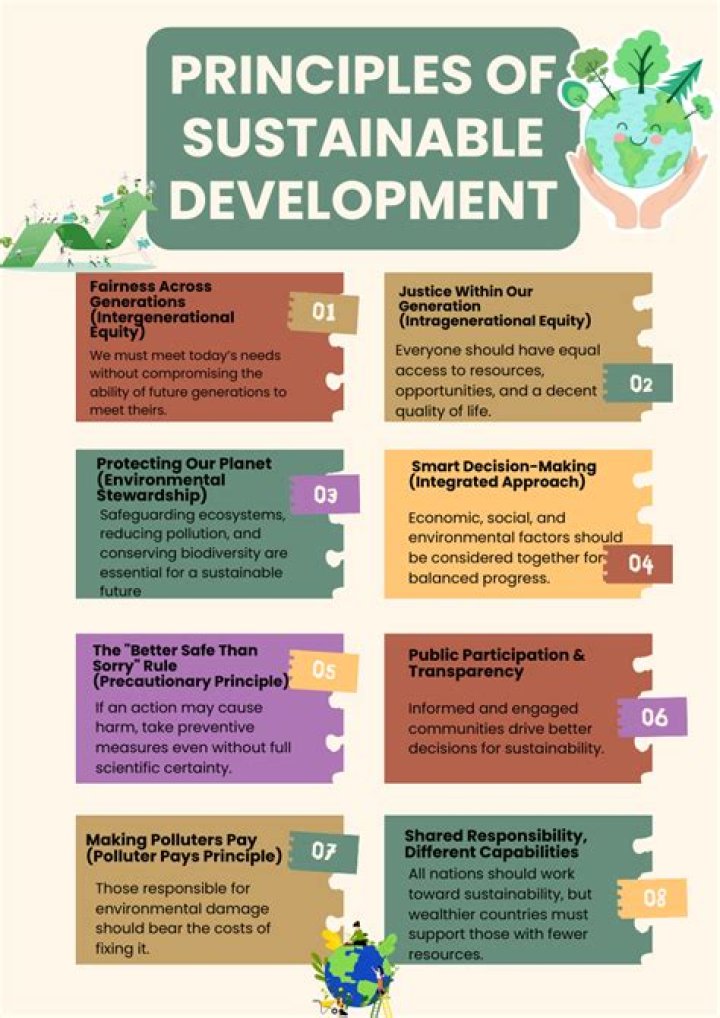 What is the issue of sustainability for development?