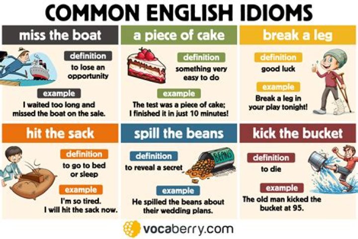What is the meaning of the idiom top of the tree?