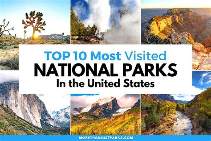What is the most visited theme park in the US?