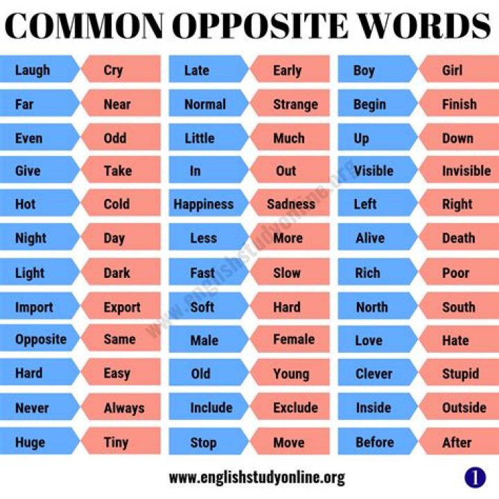 What is the opposite word for hide?