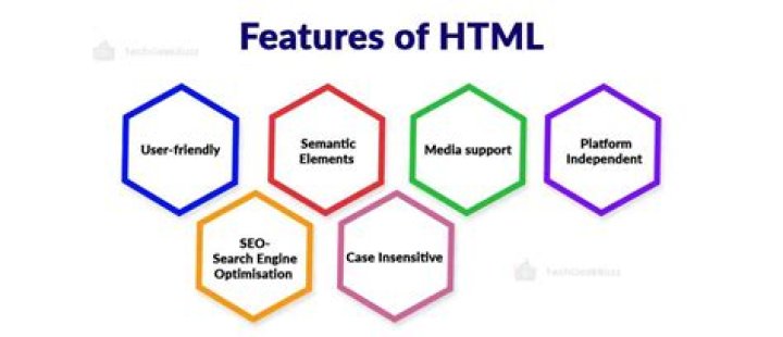 What is the role of HTML in Web designing?
