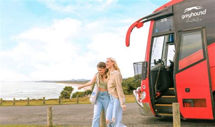 What is the Student Advantage discount for Greyhound?