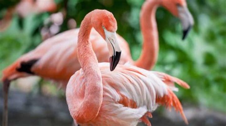 What is the stupidest holiday?