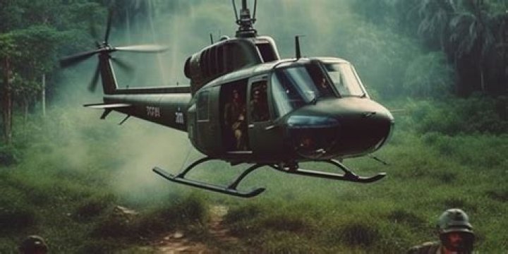 What was the cause and effect of the Vietnam War?
