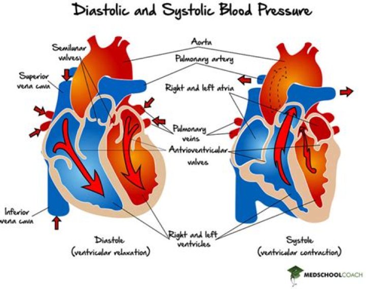 Where is systemic blood pressure the highest?