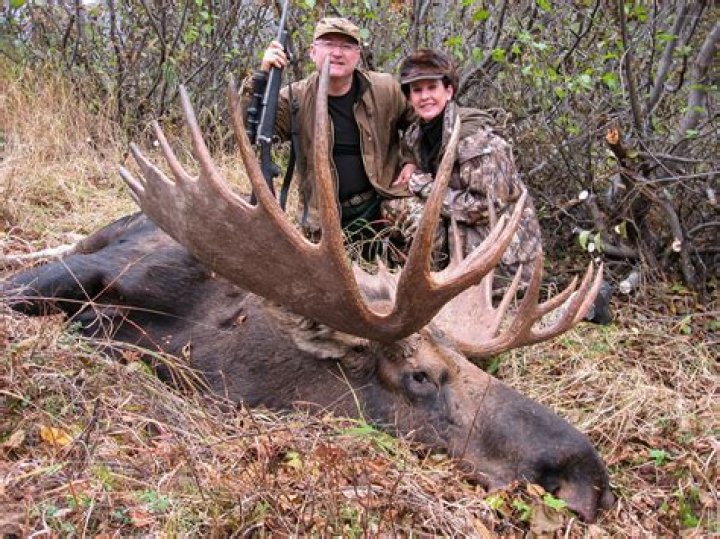 Where is the best moose hunting in Alaska?