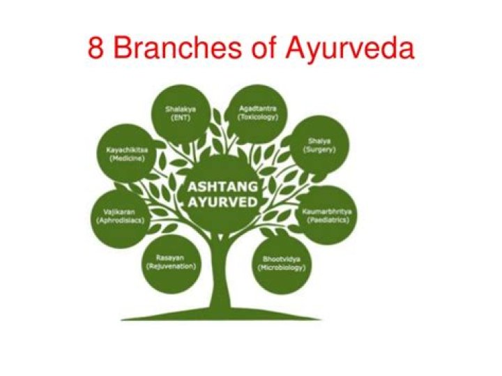 Which Ayurveda branch deals with surgery?