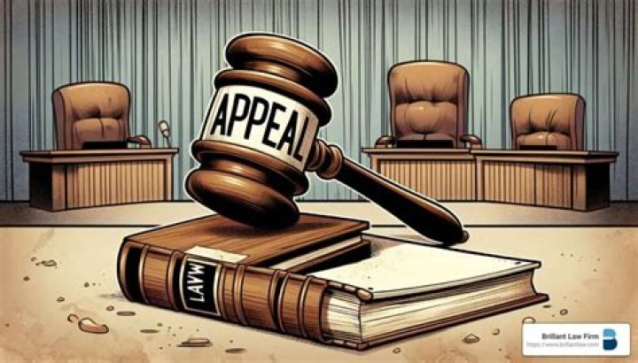 Which is better DRO or traditional appeal process?