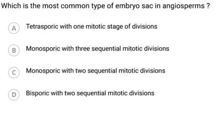 Which is the most common type of embryo sac in angiosperms?