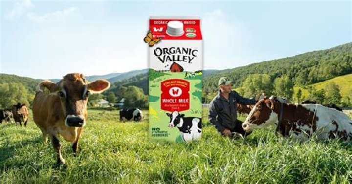Who is Organic Valley owned by?
