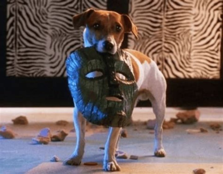 Who played the dog in the mask?
