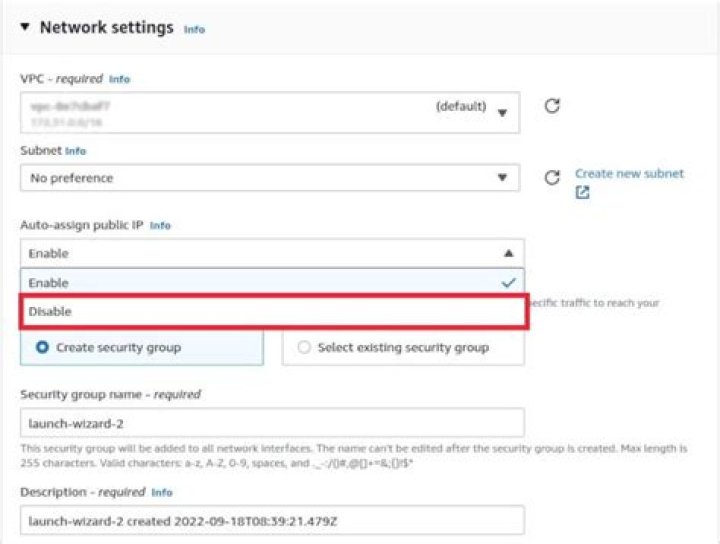 Why doesn't my EC2 instance have a public IP?
