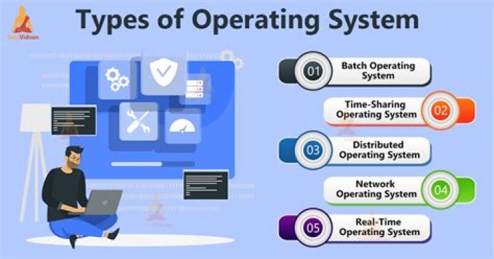 Why was Windows 1.0 considered an operating environment rather than an operating system?